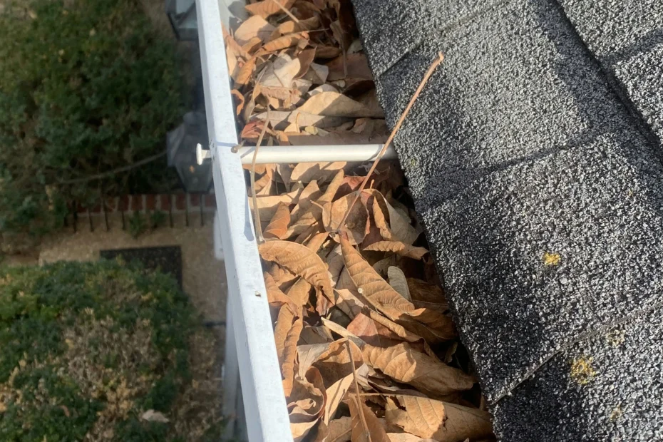 Gutter Cleaning Lowell