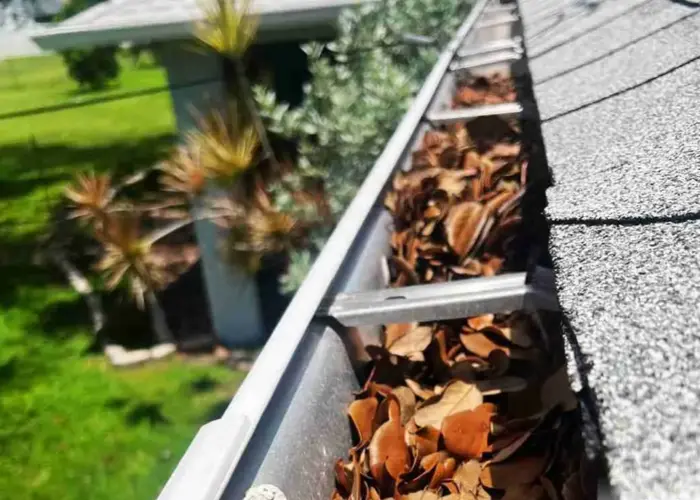 Gutter Cleaning Lowell home page